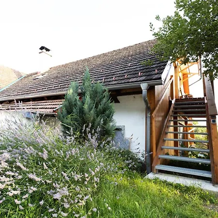 Apartman Panoramablick Bucklige Welt