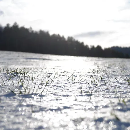Panoramablick Bucklige Welt Edlitz