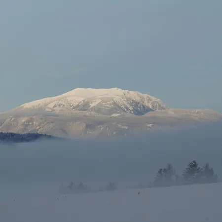 アパート Panoramablick Bucklige Welt Edlitz