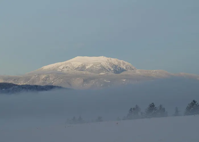 Apartman Panoramablick Bucklige Welt Edlitz